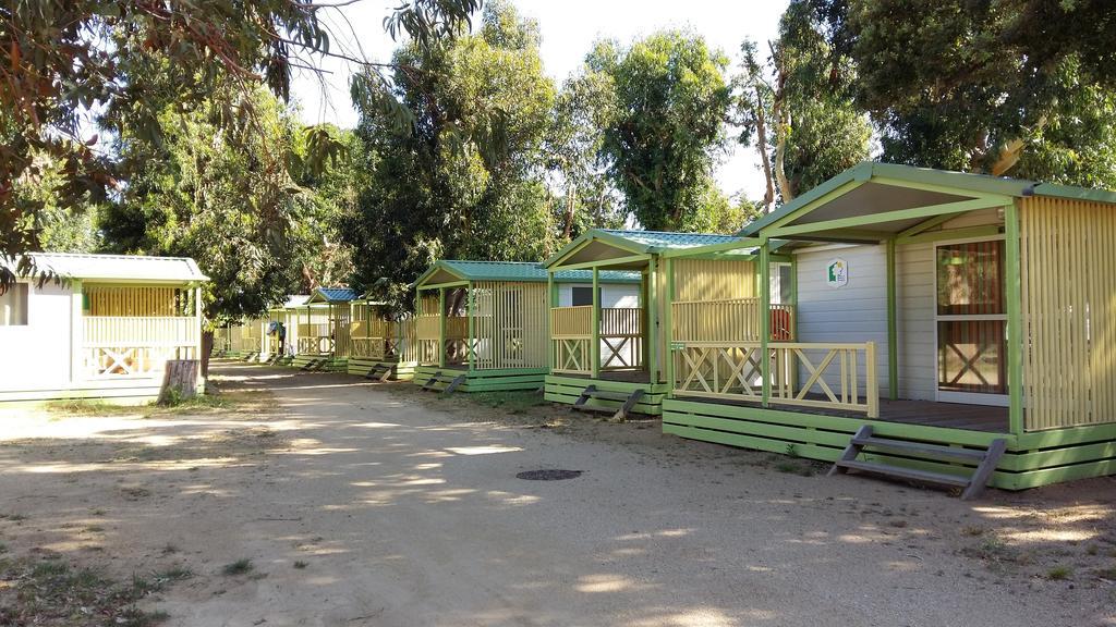 Le Camping De La Plage Aregno Bagian luar foto