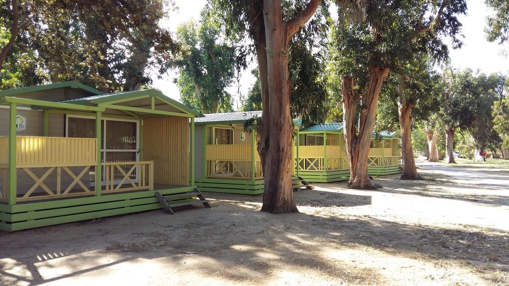 Le Camping De La Plage Aregno Bagian luar foto